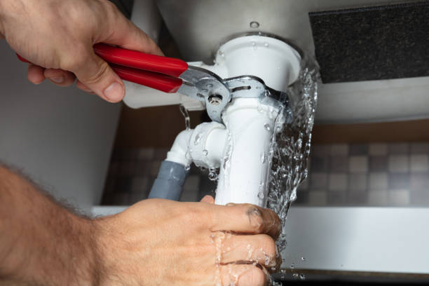 Best Professional water damage repair  in Bally, PA