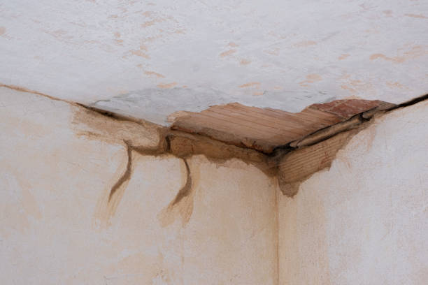 Best Flood restoration services  in Bally, PA